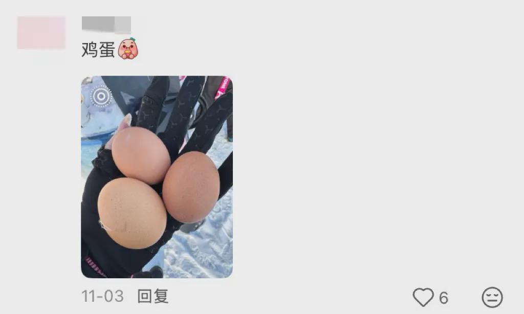 开云体育下载-世界上最离谱的午饭都在滑雪场