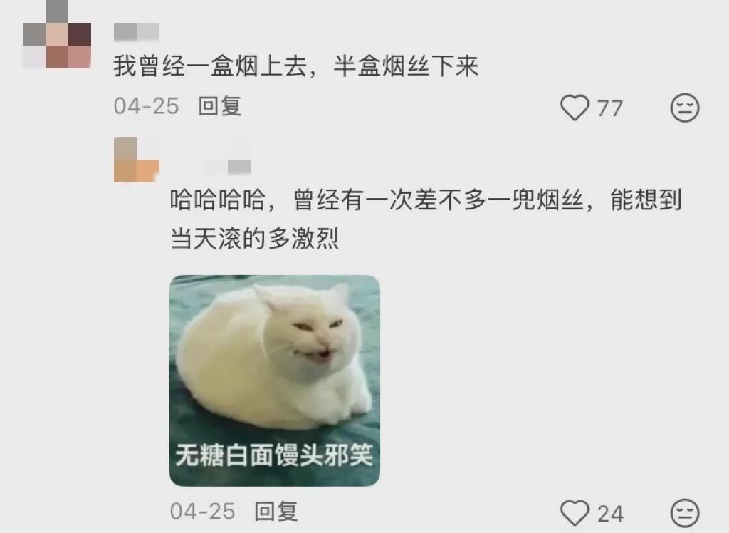 开云体育下载-世界上最离谱的午饭都在滑雪场